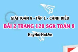 Giải bài 2 trang 120 Toán 8 Tập 1 SGK Cánh Diều